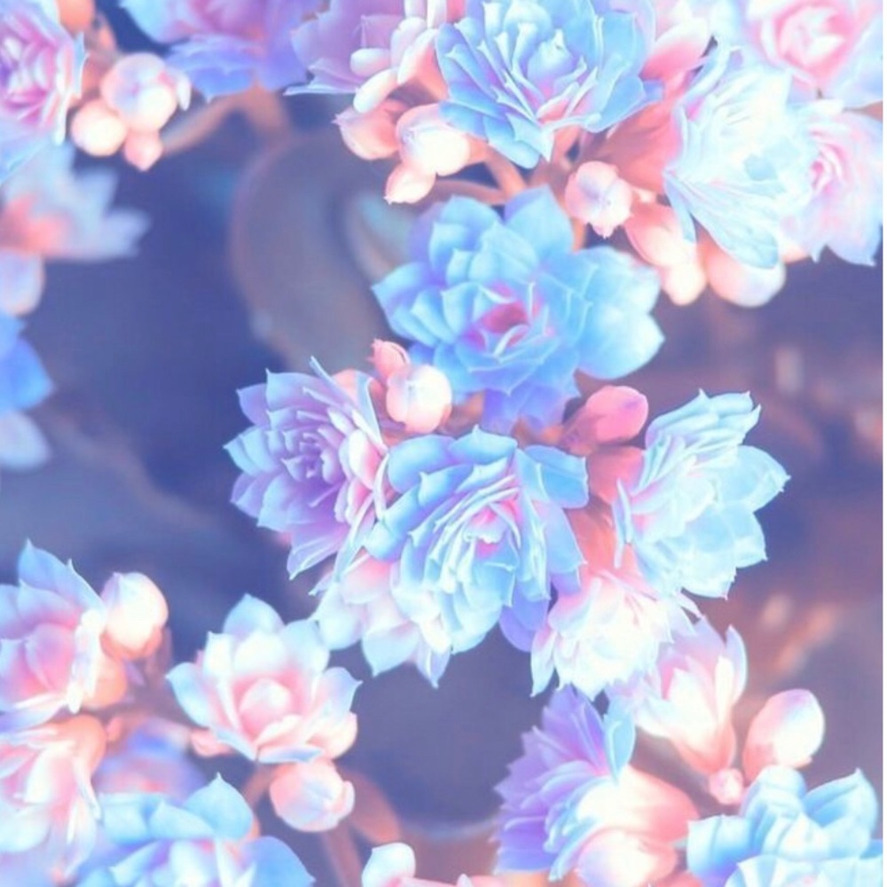 PINK Bundle